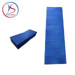 زیرانداز کوهنوردی سالیوا مدل Salewa Easy Mat Foldable