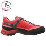 کفش Salewa مدل FIRETAIL EVO GTX - Image 3