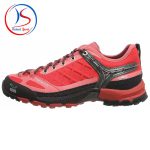 کفش Salewa مدل FIRETAIL EVO GTX - Image 4