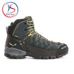 Salewa MS ALP TRAINER MID GTX