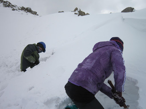 کارگاه افقی