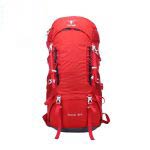 کوله پشتی کوهنوردی 5+45 لیتری پکینیو مدل Everest