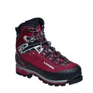 کفش سنگین Lowa مدل MT.Expert Gtx Evo