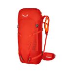 خرید کوله پشتی 45 لیتر Salewa مدل APEX GUIDE