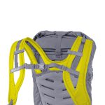 خرید کوله پشتی Salewa مدل Apex Wall 38L