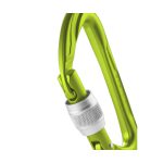 كارابين پيچ ادلراید