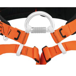 PETZL AVEN