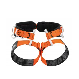 هارنس غارنوردی پتزل