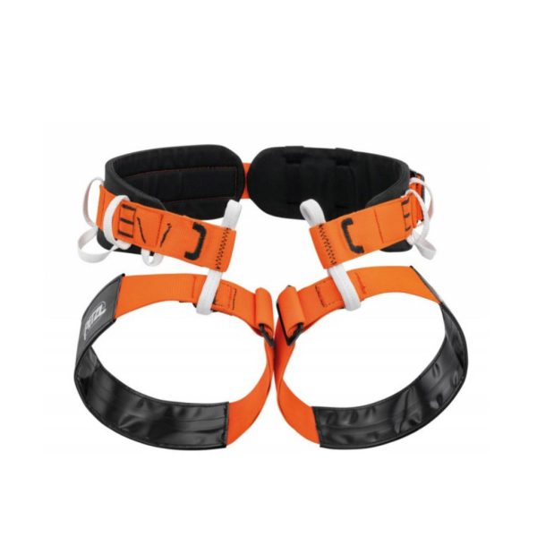 هارنس غارنوردی پتزل