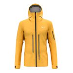 کاپشن گورتکس سالیوا مدل Salewa Ortles GTX Pro