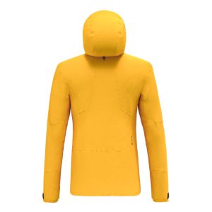 کاپشن گورتکس سالیوا مدل Salewa Ortles GTX Pro