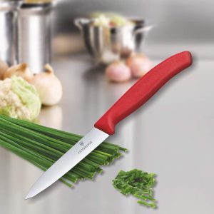 چاقو میوه‌خوری Victorinox مدل Paring Knife کد 6.7701